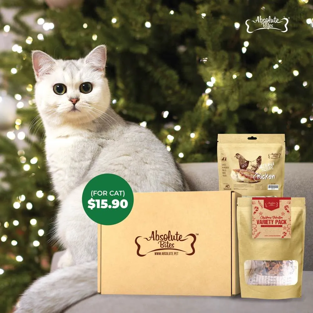 Absolute Bites Cat Treats Christmas Surprise Box