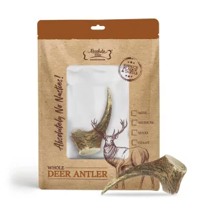 Absolute Bites Whole Deer Antlers Dental Chew Mini