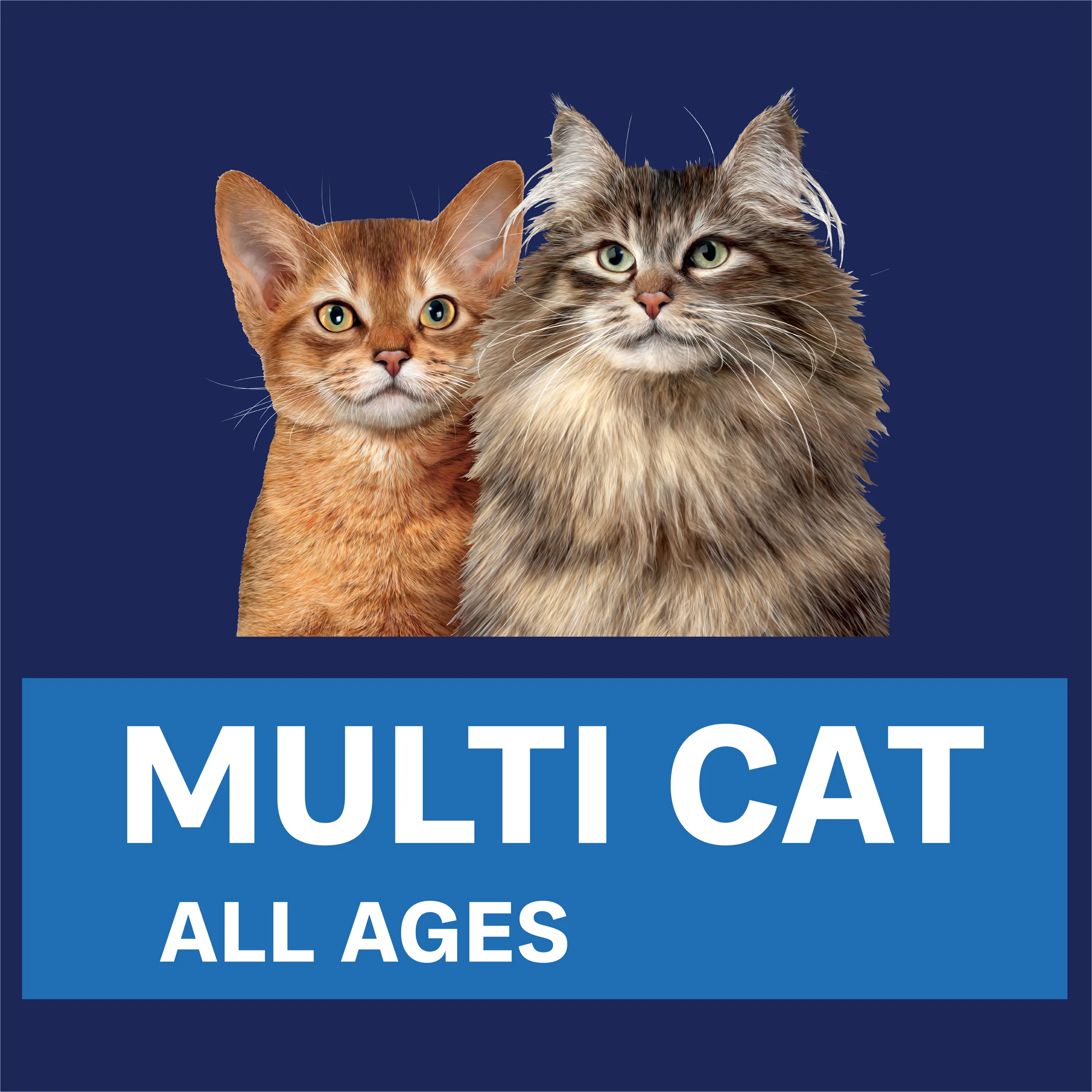 Advance Chicken and Salmon Multi Cat All Ages Dry Cat Food