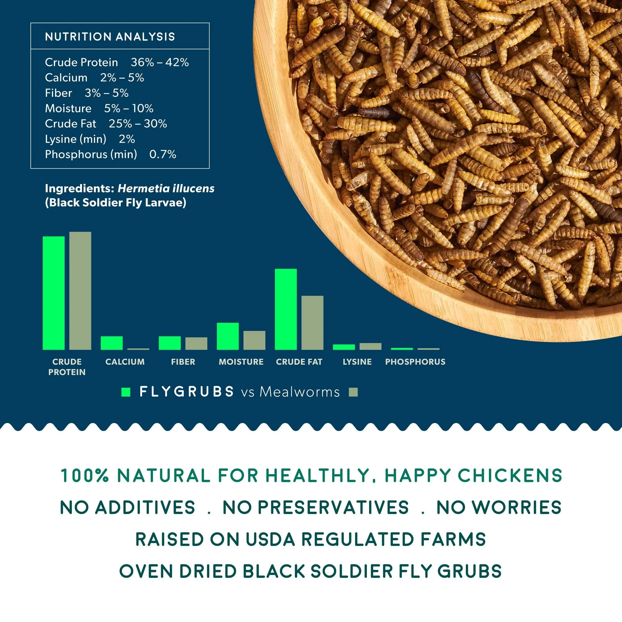 Black Solider Fly Larvae Treats for Hens Ducks Wild Birds | Dried Mealworms (10 Lb)