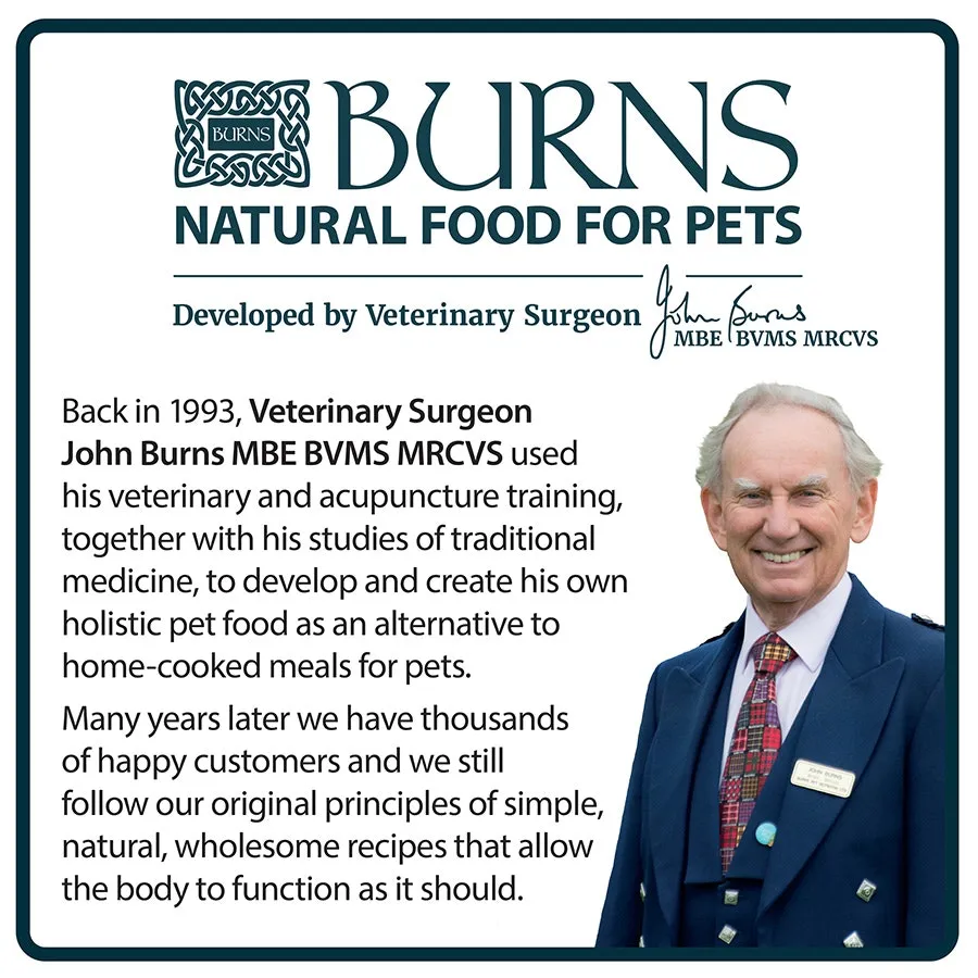 Burns Original Puppy Dry Dog Food Chicken & Rice 6kg