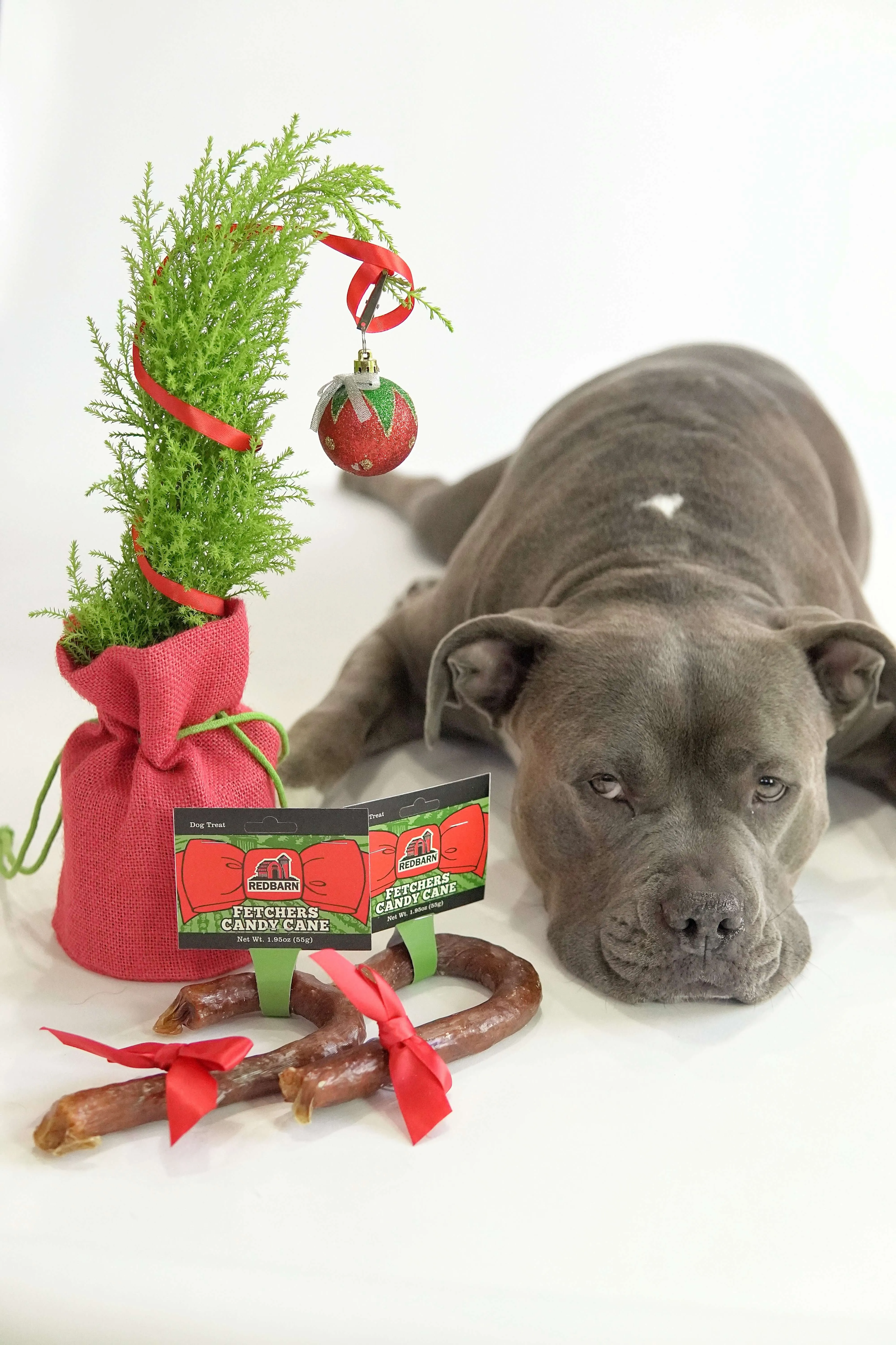 Fetchers® Candy Cane