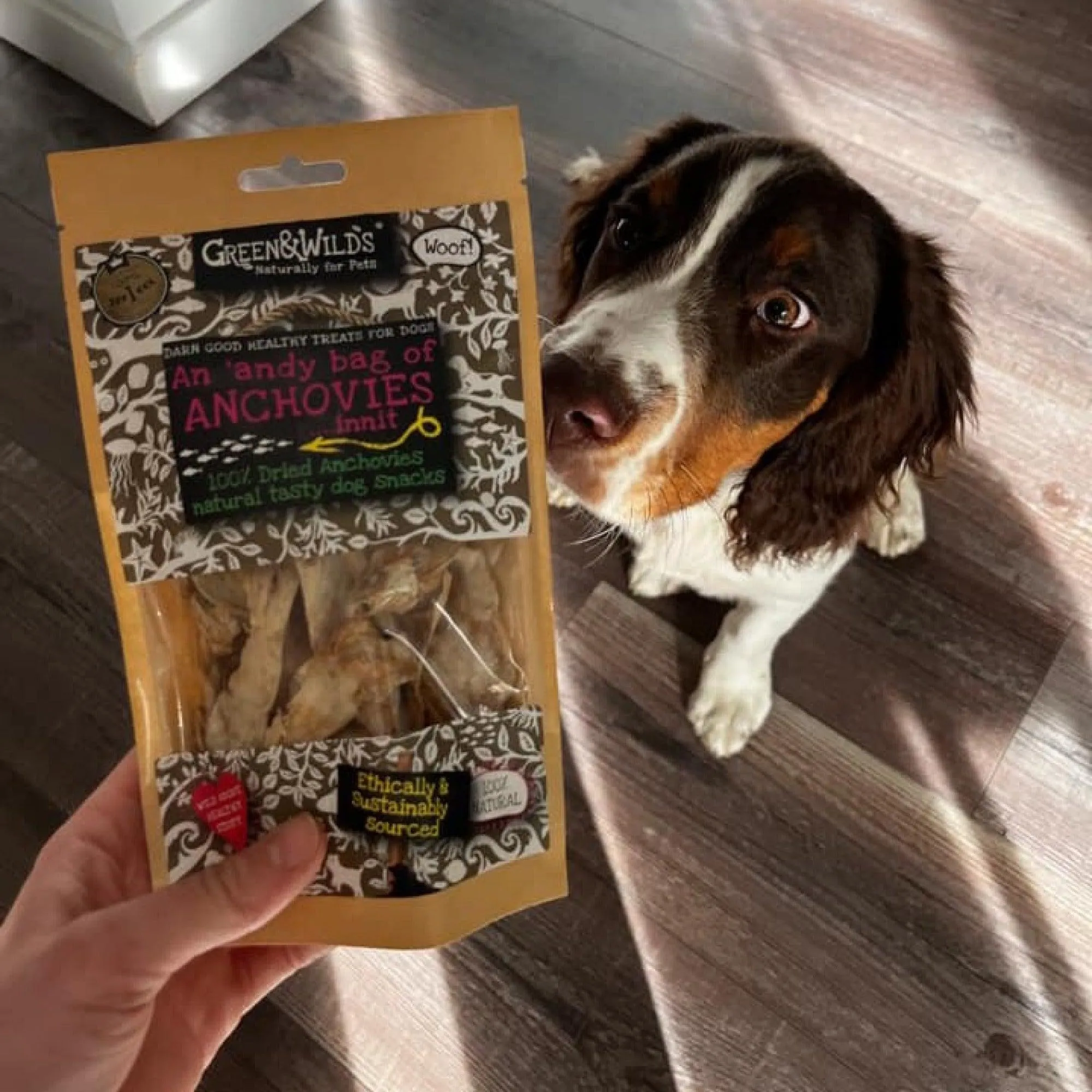 Green & Wilds | Bag of Anchovies Dog Treats - 50g