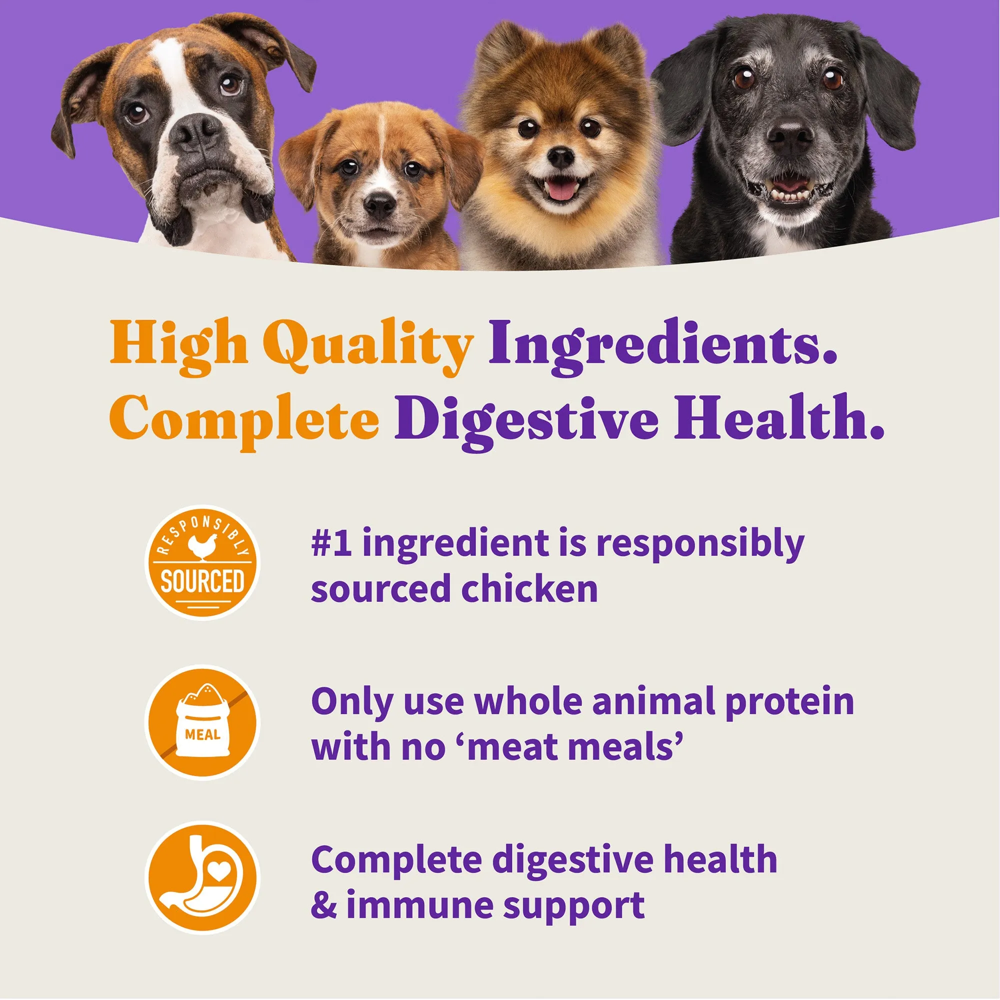 Holistic Cage-Free Chicken & Brown Rice Recipe Small Breed Dry Dog Food