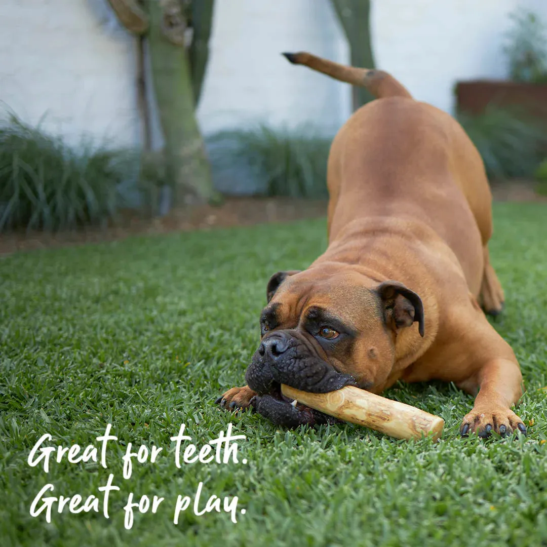 Kazoo Coffee Wood Dog Chew