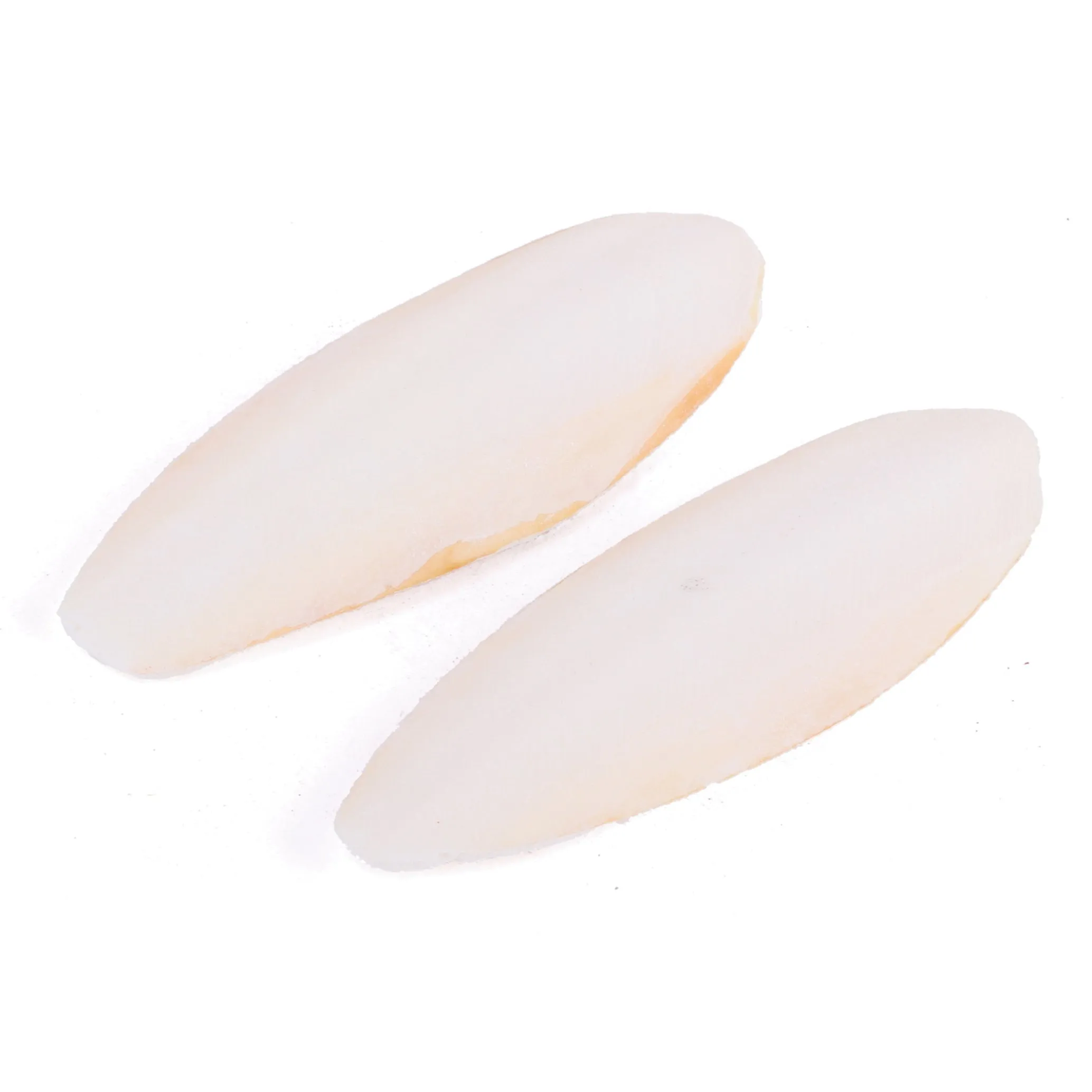 Kazoo Natural Cuttlebones Medium 2 Pack^^^