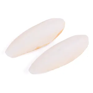 Kazoo Natural Cuttlebones Small 2 Pack