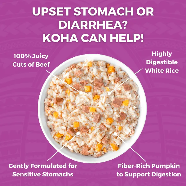 KOHA Limited Ingredient Bland Diet Beef & White Rice Recipe for Dogs