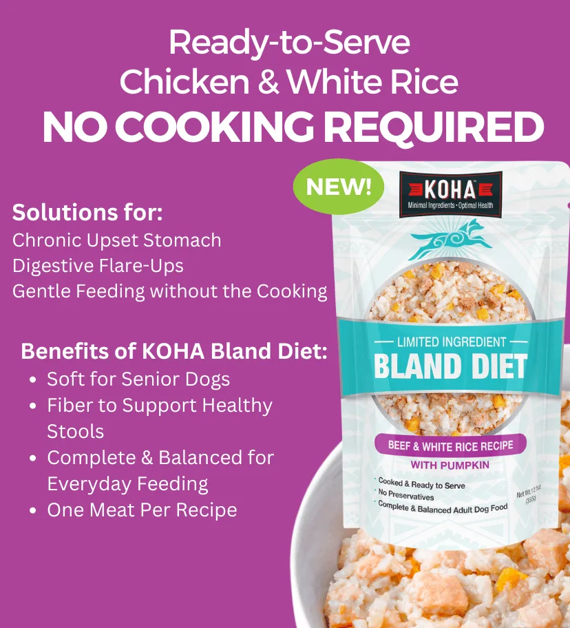 KOHA Limited Ingredient Bland Diet Beef & White Rice Recipe for Dogs