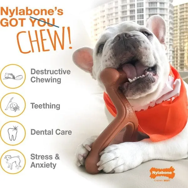 Nylabone Durachew Big Chew; Beef Bone Original