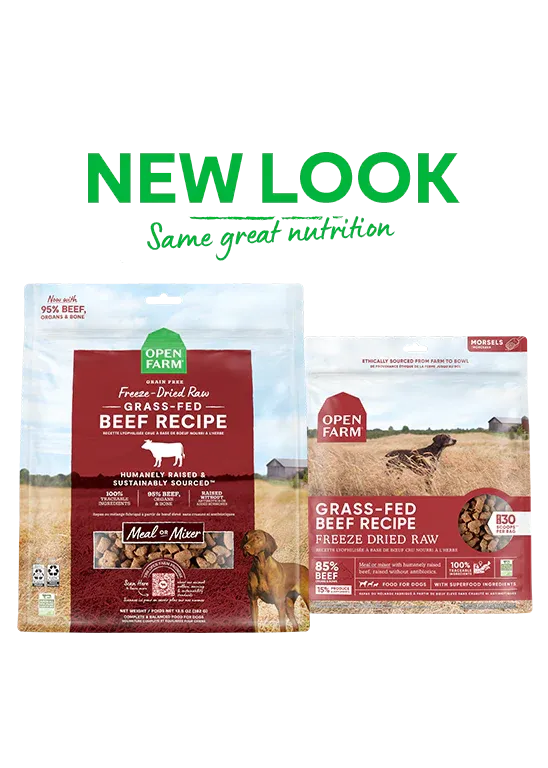 Open Farm Grass-Fed Beef, Freeze-Dried Raw Dog Food