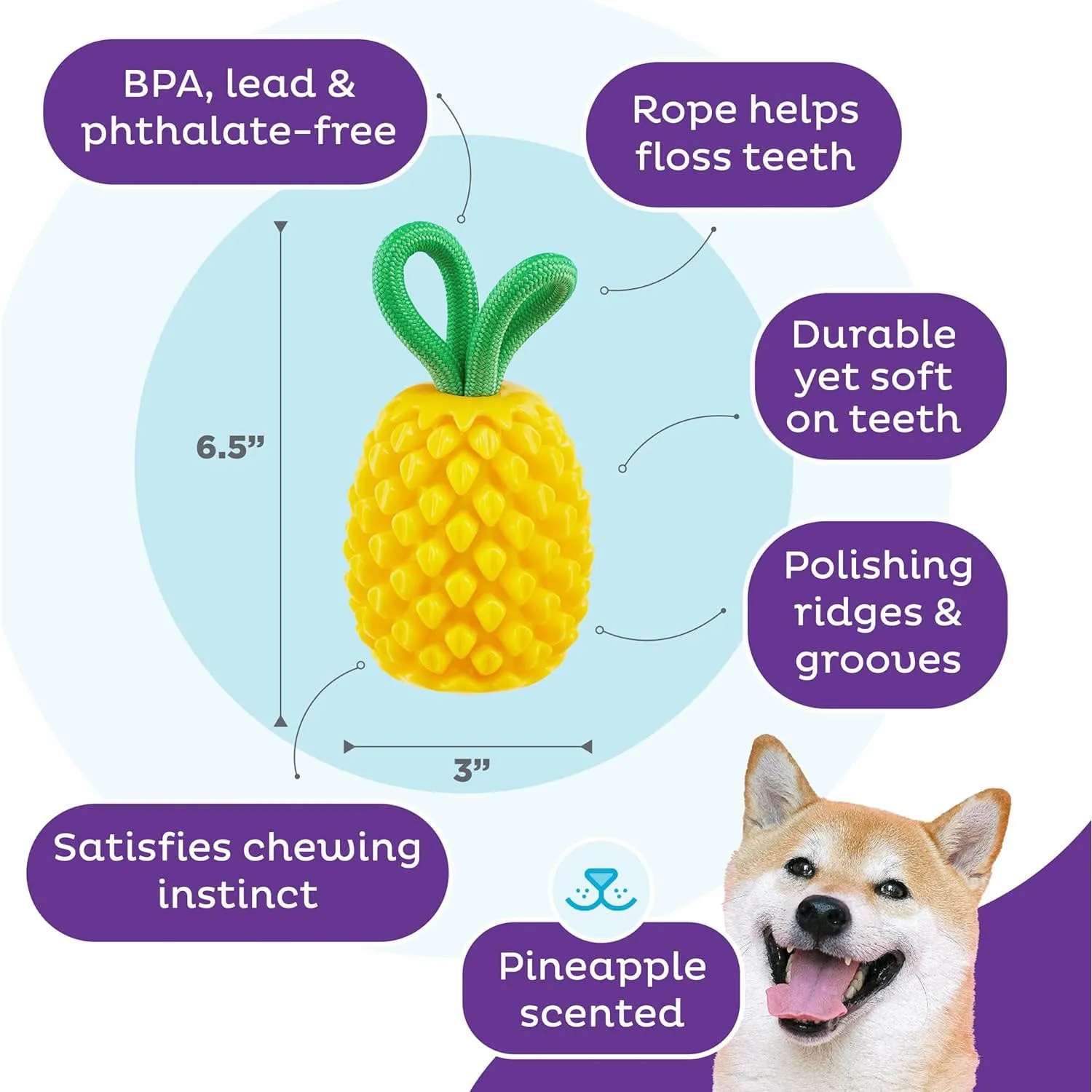 Outward Hound Pineapple Dental Chew Toy