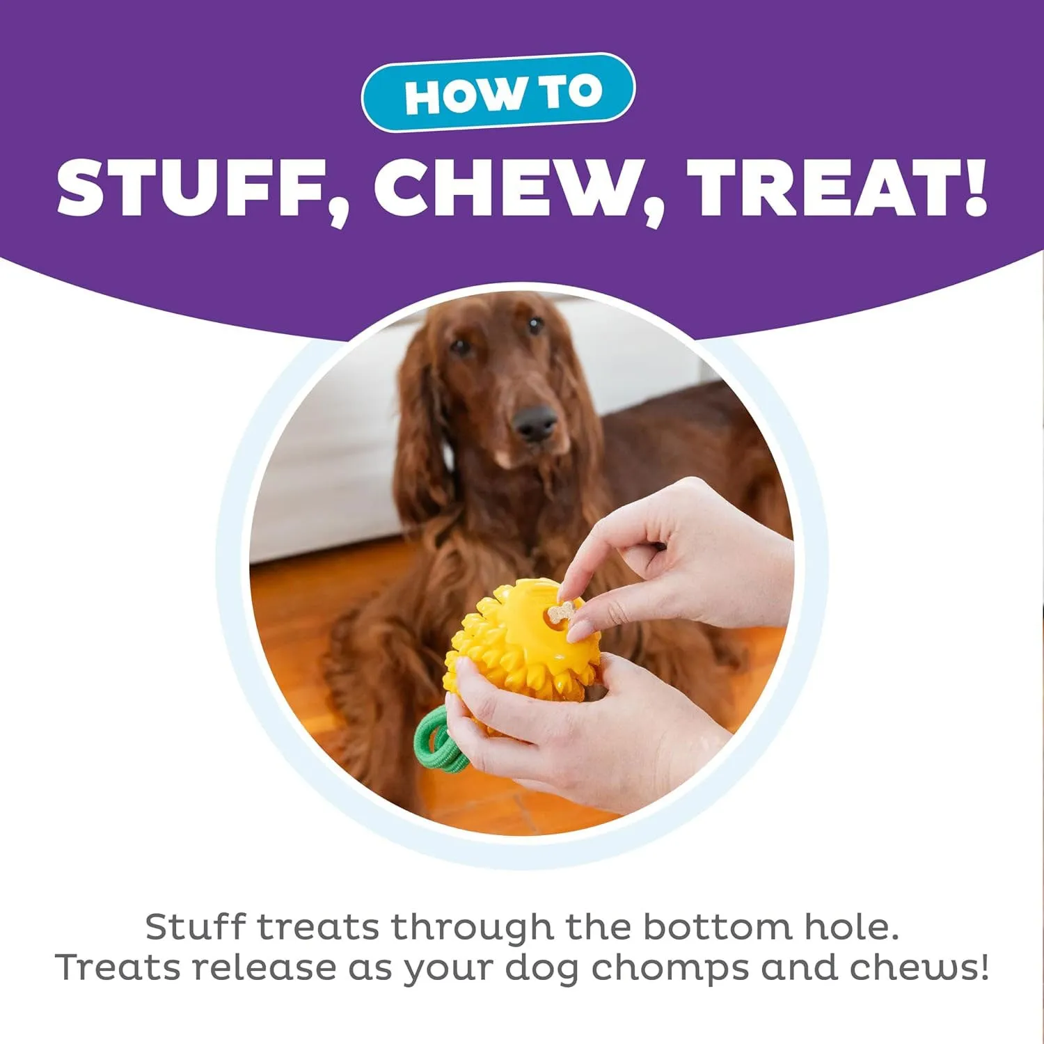 Outward Hound Pineapple Dental Chew Toy