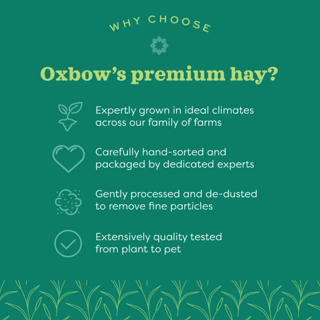 Oxbow Animal Health Organic Meadow Hay