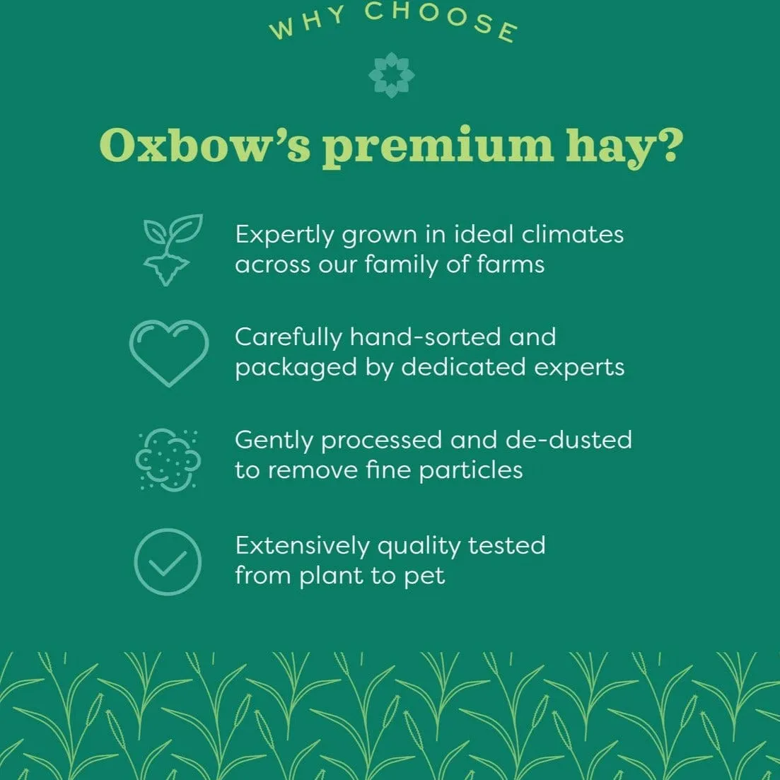 Oxbow Botanical Hay, 15oz