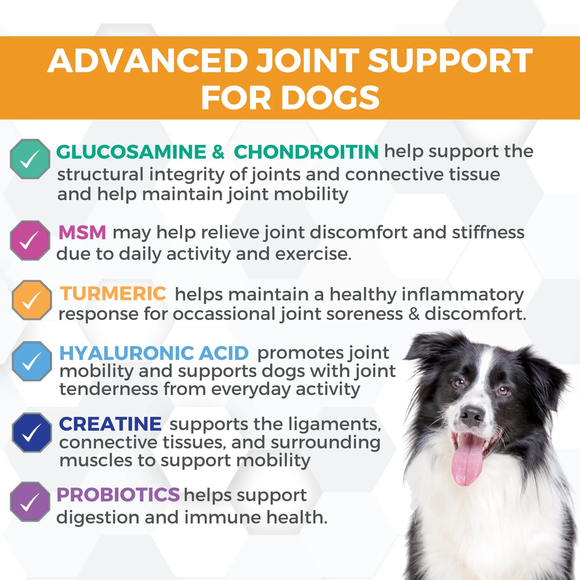 Progility Minis Hip & Joint Soft Chew Supplements | Advanced Joint Support - For Small & Medium Dogs