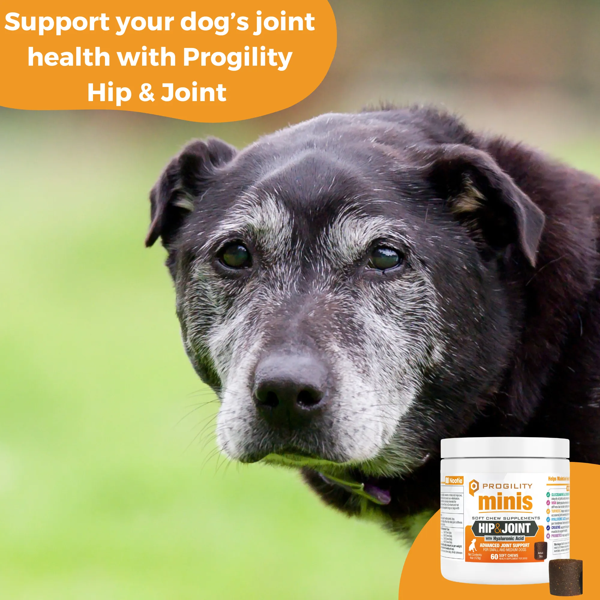 Progility Minis Hip & Joint Soft Chew Supplements | Advanced Joint Support - For Small & Medium Dogs