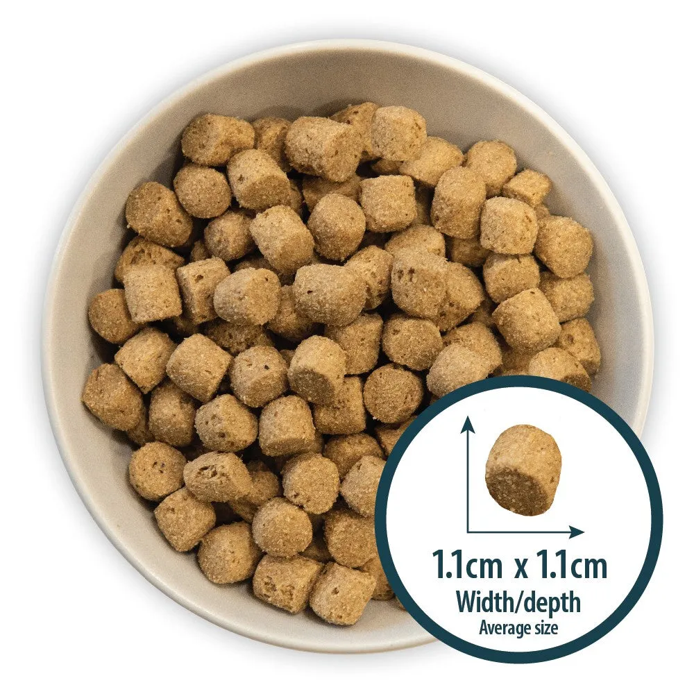 Puppy Original Lamb & Rice Dog Dry Food