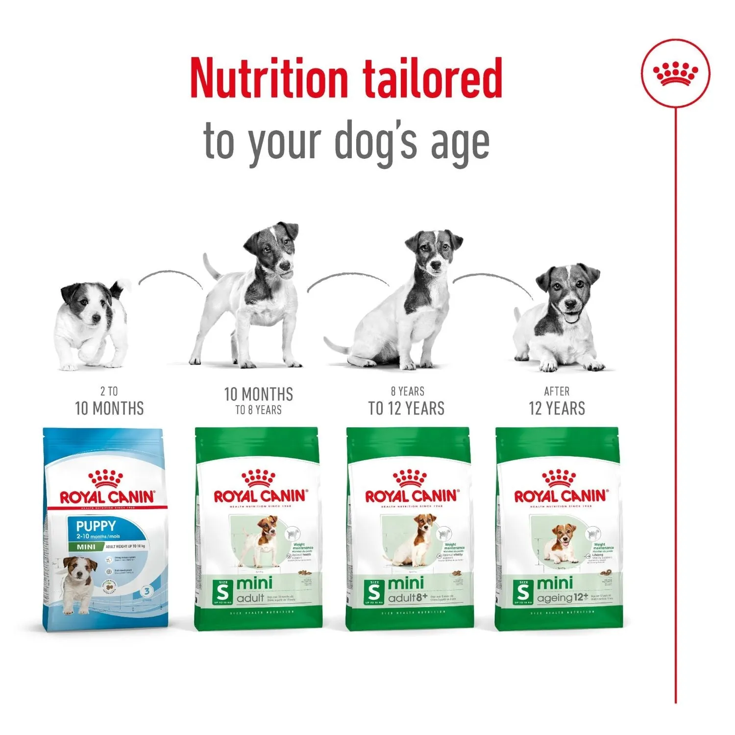 Royal Canin Dog Mini Adult 8  Dry Food 2kg