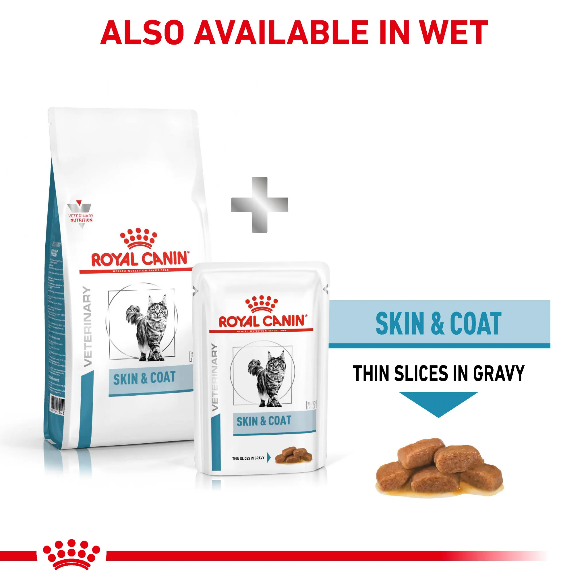 ROYAL CANIN® Feline Skin & Coat Adult Dry Cat Food