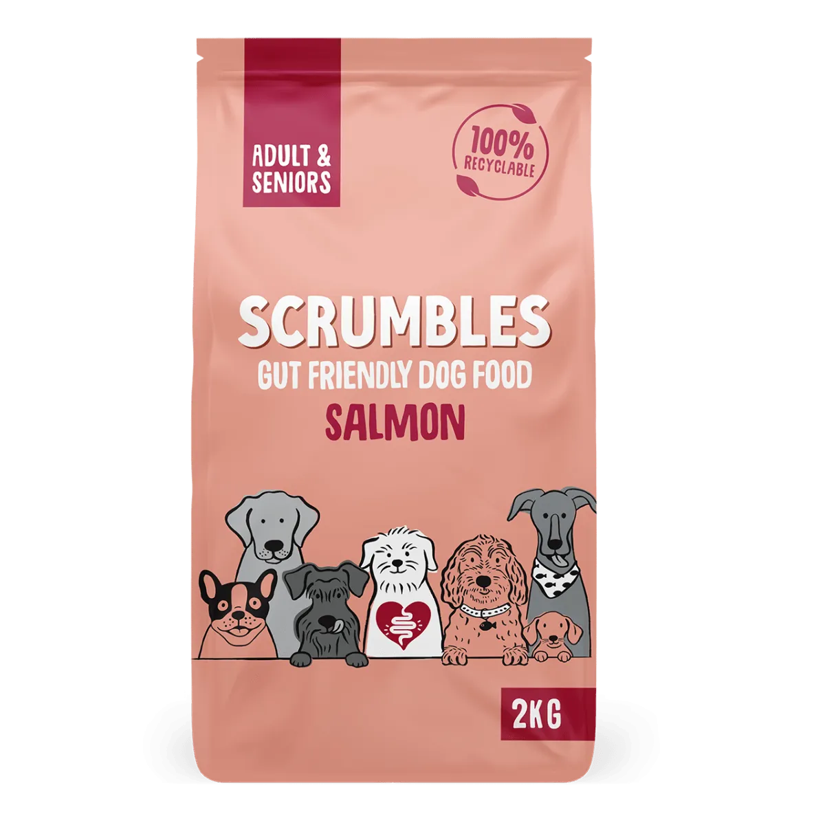 Salmon Dry Dog Food