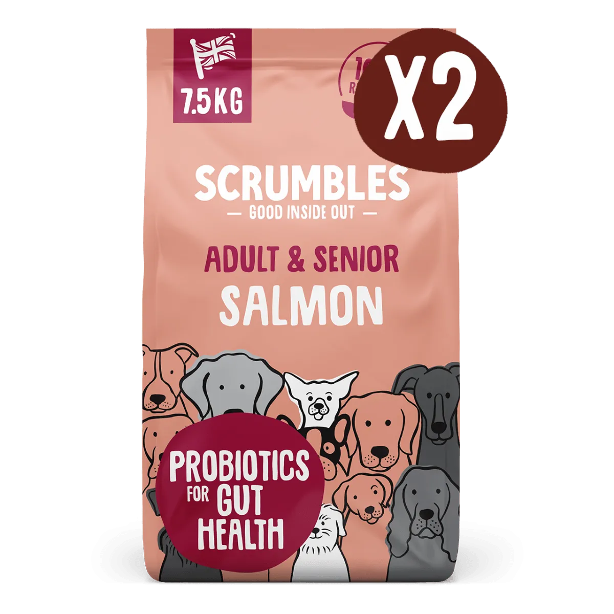 Salmon Dry Dog Food