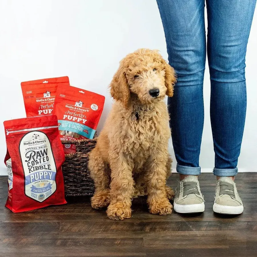 Stella & Chewy's Cage-Free Chicken Recipe Puppy Raw Coated Baked Kibble Dog Food