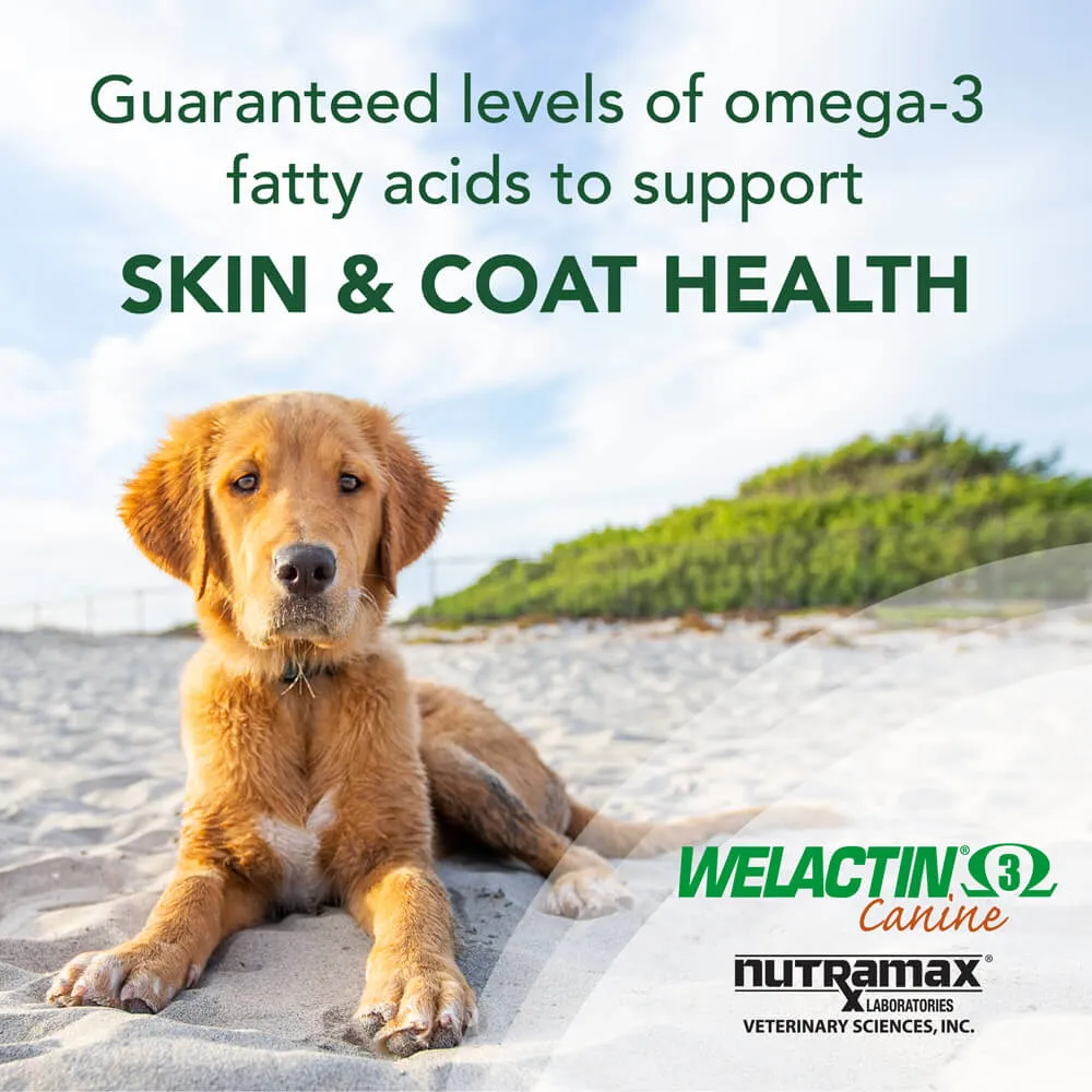 Welactin Natural Omega-3 Supplement for Dogs, 16 fl oz