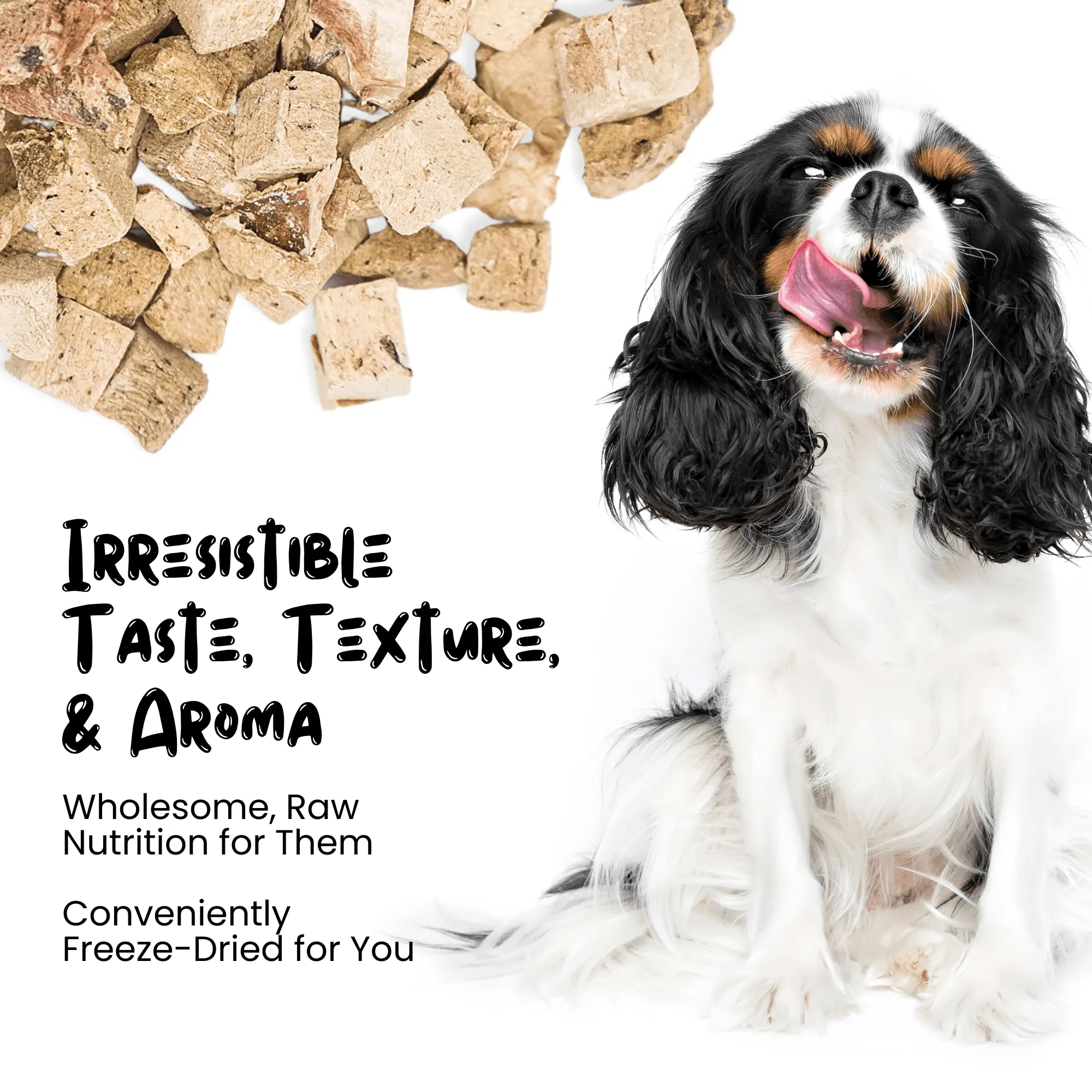 Wholesale Freeze Dried Beef Liver Treats