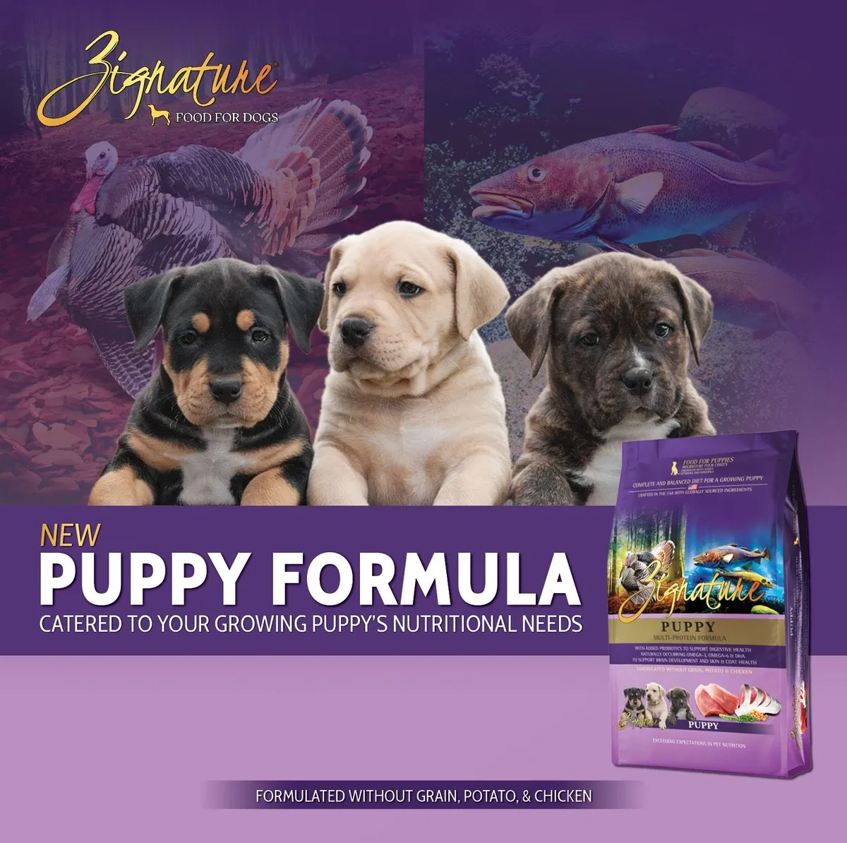 Zignature Grain Free Puppy Multi-Protein Formula Dry Dog Food